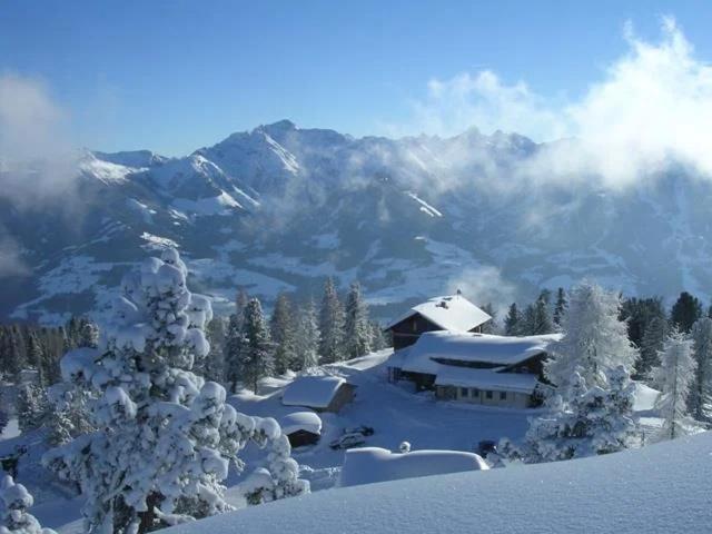 גרובמינג Steinerhaus Berggasthof מראה חיצוני תמונה